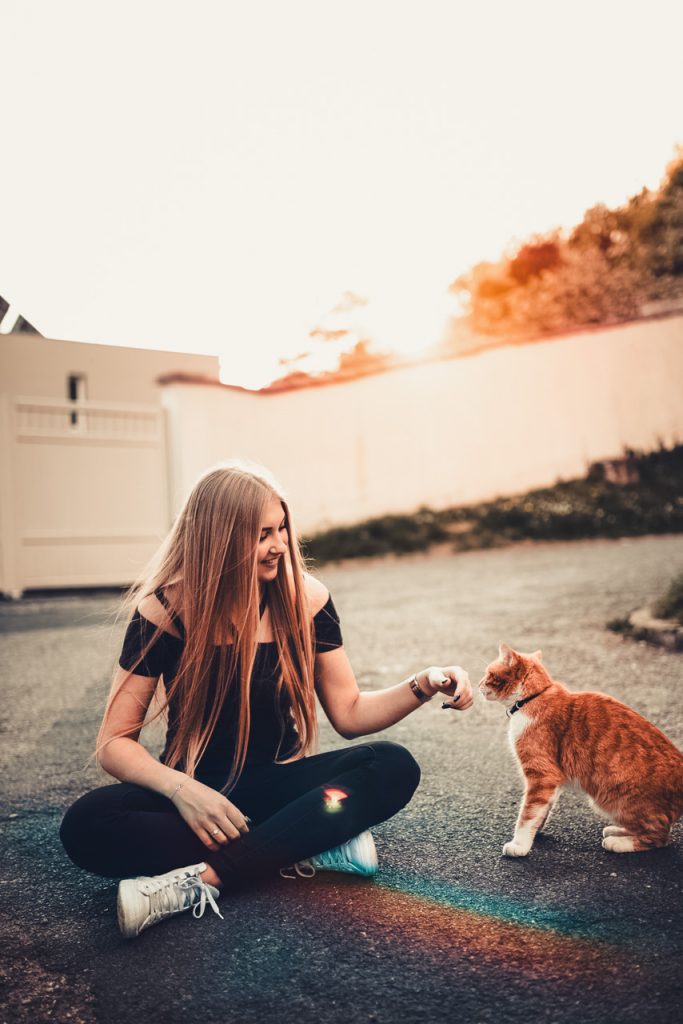 arc en ciel portrait shooting coucher de soleil 54 57 nancy chat blonde caresse