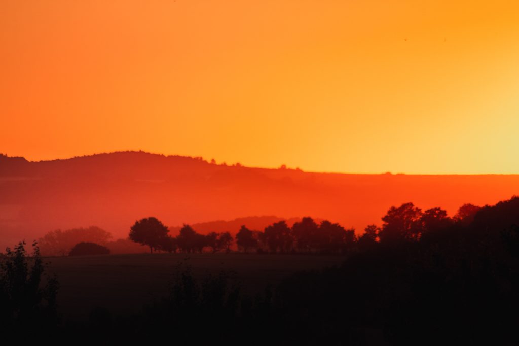 Soleil Couchant soirée Nature Forêt Arbres