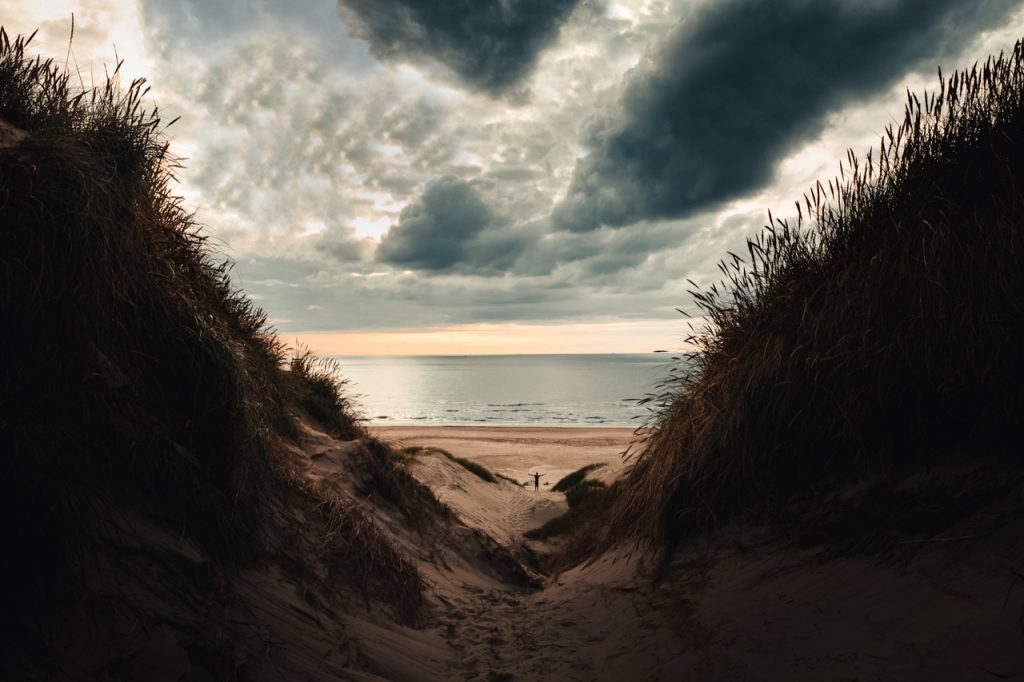 Plage Danemark Coucher Soleil Nuages Mer Océan Sable Roseaux