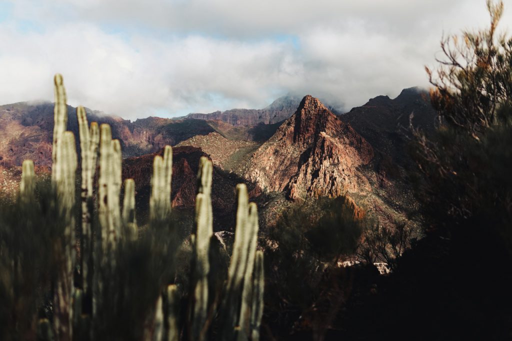 Tenerife Vacances Cactus Volcan Montagnes Sec