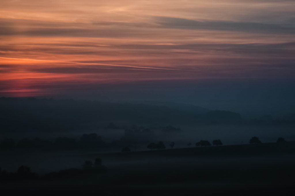 Matin lever soleil couleurs été brume brouillard forêt arbres