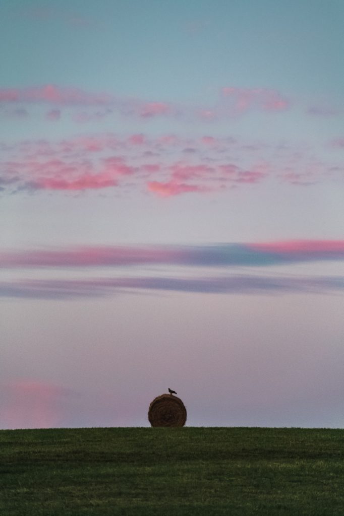 Soirée Nuages Roses Buse Botte Paille Été Moisson Champs